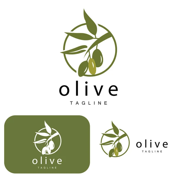 橄榄标志 橄榄油植物病媒 天然草药健康药物设计 图例模板图标 — 图库矢量图片