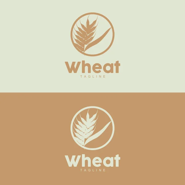 Rice Logo Farm Wheat Logo Design Vector Wheat Rice Icon — Stock Vector