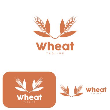 Pirinç Logosu, Çiftlik Buğdayı Logosu Tasarımı, Vektör Pirinç Şablonu Şablonu
