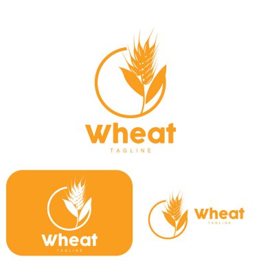 Pirinç Logosu, Çiftlik Buğdayı Logosu Tasarımı, Vektör Pirinç Şablonu Şablonu