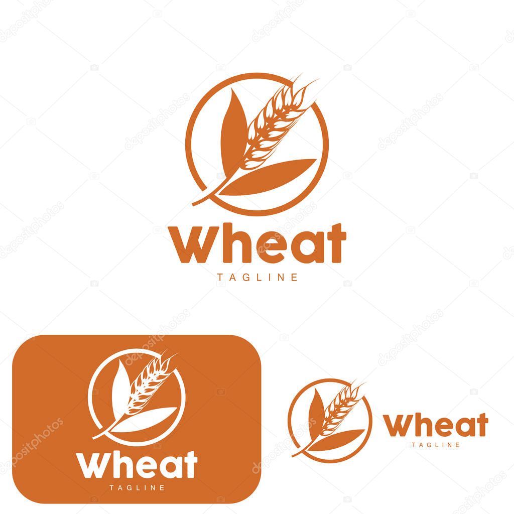 Rice Logo, Farm Wheat Logo Design, Vector Wheat Rice Icon Template Illustration