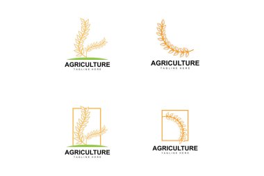 Pirinç Logosu, Çiftlik Buğdayı Logosu Tasarımı, Vektör Pirinç Şablonu Şablonu