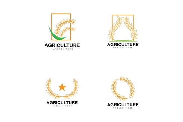 Logotipo Arroz Projeto Logotipo Trigo Fazenda Ilustração Ícone Arroz Trigo — Vetor de Stock