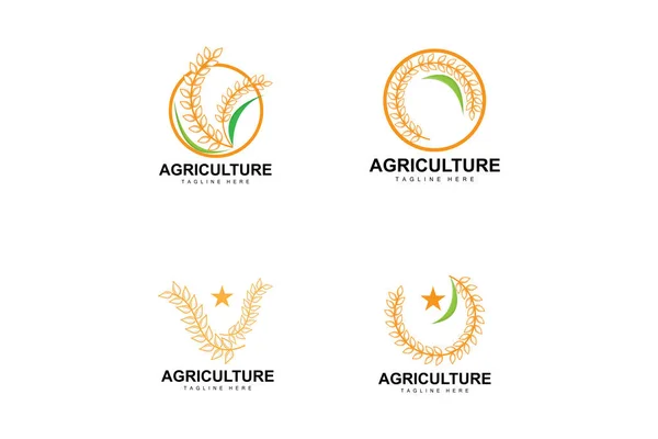 Logo Beras Pertanian Rancangan Logo Vektor Gandum Ikon Beras Ilustrasi - Stok Vektor