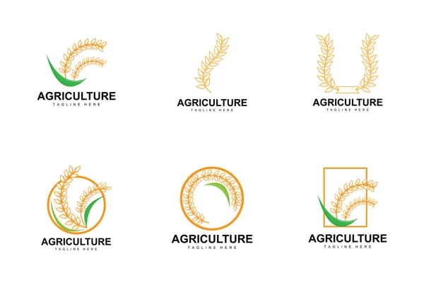 Reis Logo Farm Weizen Logo Design Vektor Weizenreis Icon Template — Stockvektor