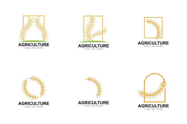 Logo Riz Conception Logo Blé Agricole Illustration Vectorielle Icône Riz — Image vectorielle