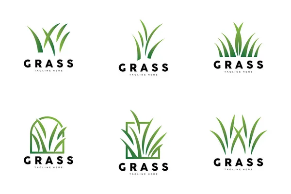 Green Grass Logo Design Farm Landscape Illustration Natural Scenery Vector — Image vectorielle