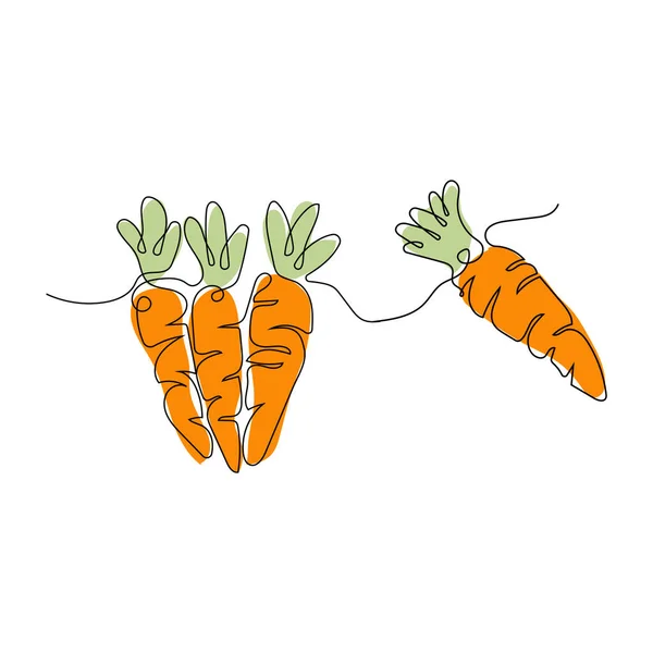 ニンジンのロゴ ベクトルガーデンファームニンジンの野菜 ラインデザイン テンプレートイラスト — ストックベクタ