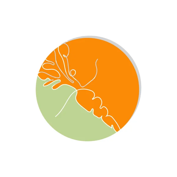 Logo Carotte Légumes Carotte Ferme Jardin Vectoriel Conception Ligne Illustration — Image vectorielle