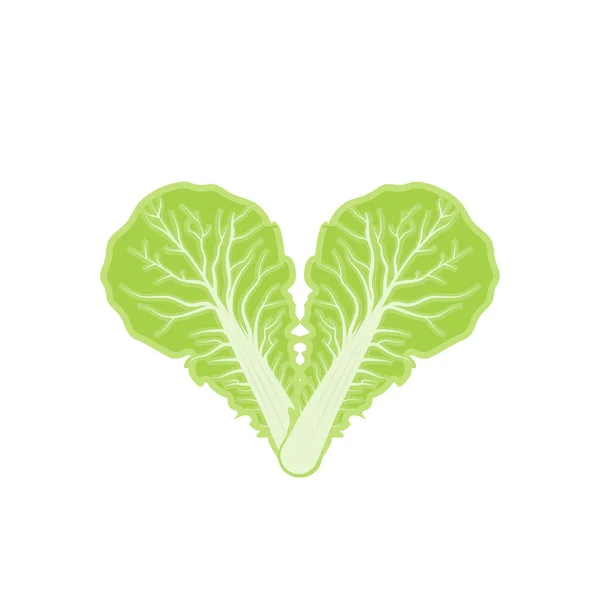 Kimchi Logo Design Vettore Alimentare Tradizionale Coreano Illustrazione Del Logo — Vettoriale Stock