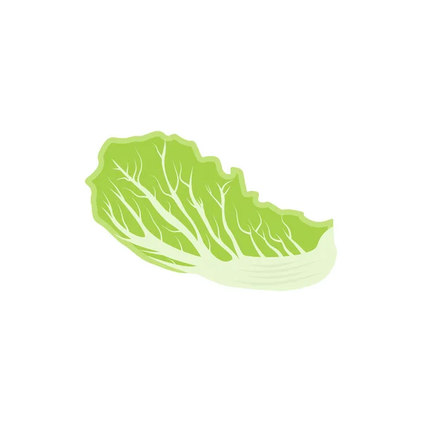 Kimchi Logo Design Korean Traditional Food Vector Cabbage Green Vegetable — Stock Vector
