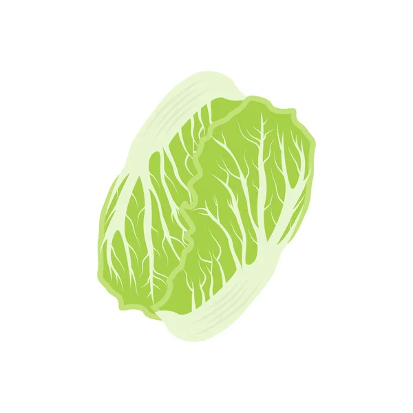 Kimchi Logo Design Koreanische Traditionelle Lebensmittel Vektor Kohl Grünes Gemüse — Stockvektor