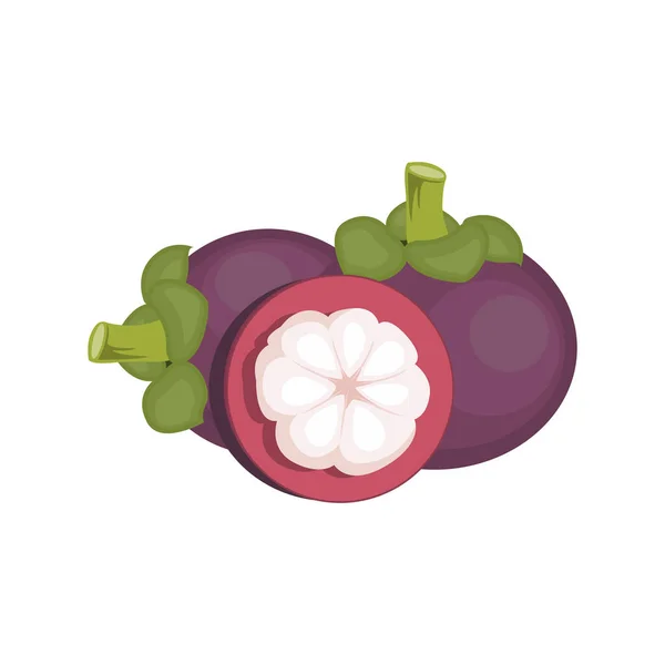 Logo Mangoustan Conception Fruits Santé Vecteur Agriculteur Jardin Modèle Élément — Image vectorielle