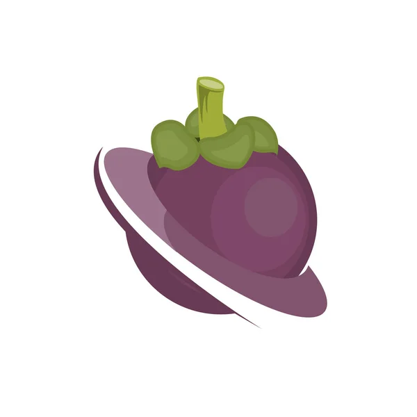 Logo Del Mangostano Progettazione Frutta Salute Vettore Dell Agricoltore Del — Vettoriale Stock