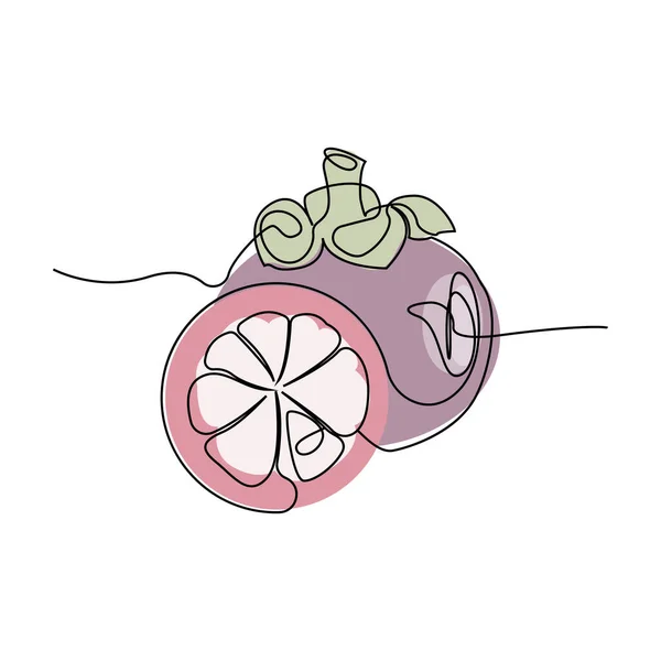 Mangosteen Logo Health Fruit Design Garden Farmer Vector Symbol Element — 图库矢量图片