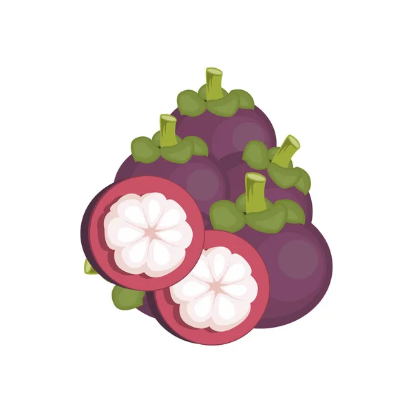 Λογότυπο Mangosteen Σχεδιασμός Φρούτων Υγείας Κήπος Αγρότης Διάνυσμα Πρότυπο Στοιχείο — Διανυσματικό Αρχείο
