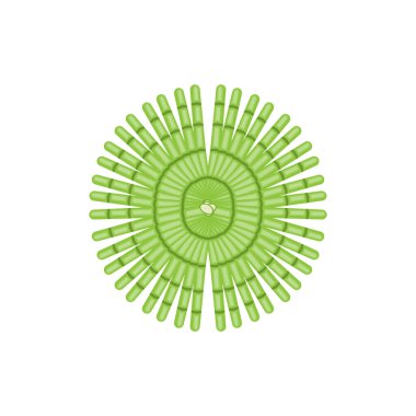 Bambu Logosu, Panda Gıda Yeşil Bitki Vektörü, Basit Minimalist Tasarım, Çizim Elemanı Şablonu