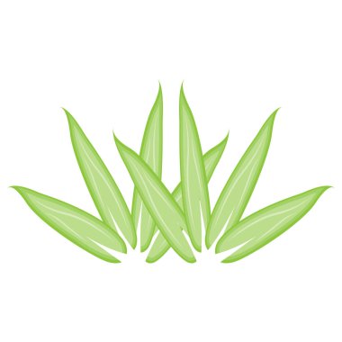 Bambu Logosu, Panda Gıda Yeşil Bitki Vektörü, Basit Minimalist Tasarım, Çizim Elemanı Şablonu