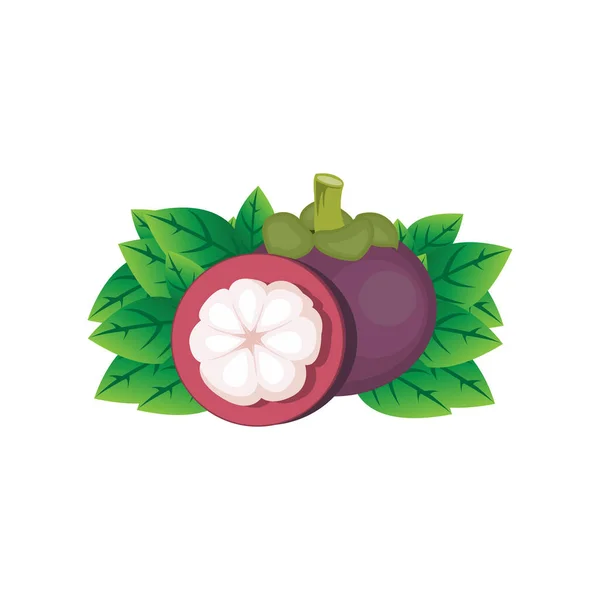 Logo Mangoustan Conception Fruits Santé Vecteur Agriculteur Jardin Modèle Élément — Image vectorielle