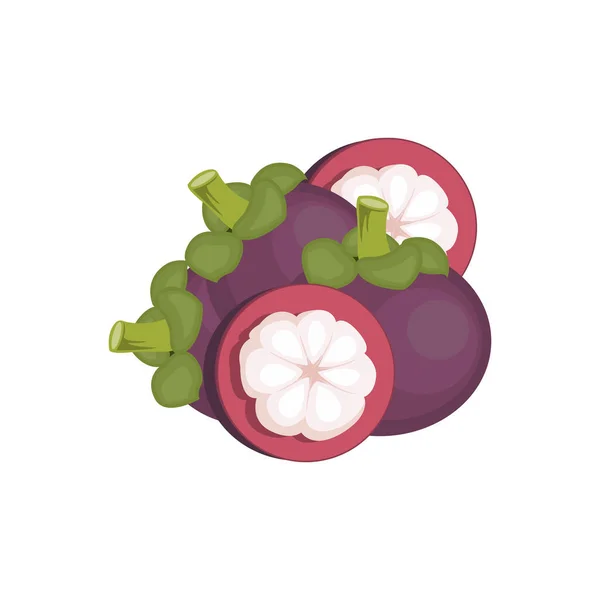 Logo Del Mangostano Progettazione Frutta Salute Vettore Dell Agricoltore Del — Vettoriale Stock