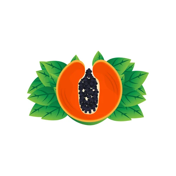 Logo Papaya Progettazione Vettore Della Frutta Della Vitamina Icona Illustrazione — Vettoriale Stock