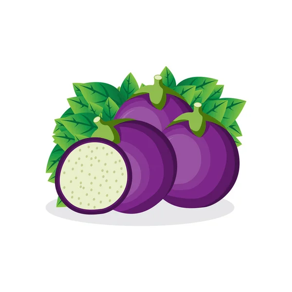 Eggplant Logo Cooking Ingredients Vector Farmer Garden Farmer Illustration Template — Stock Vector