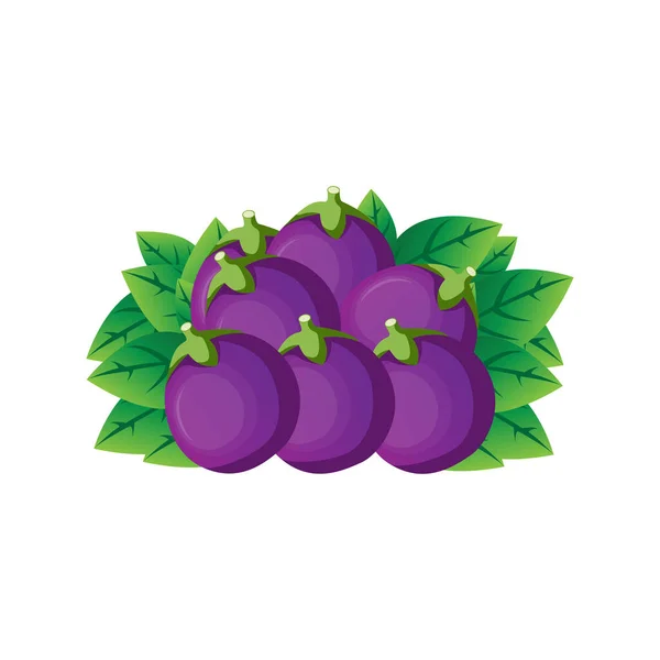 Logo Aubergine Ingrédients Cuisson Vecteur Agriculteur Jardinier Modèle Illustration — Image vectorielle
