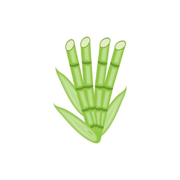 Logo Bambou Vecteur Végétal Vert Panda Food Conception Minimaliste Simple — Image vectorielle