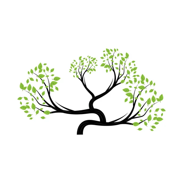 stock vector Bonsai Tree Logo. Simple Minimalist Silhouette Design, Plant Vector, Icon Illustration Element