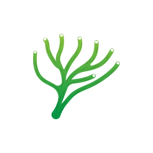 Логотип Кораллов Морское Растение Морское Животное Морской Вектор Водорослей — стоковый вектор