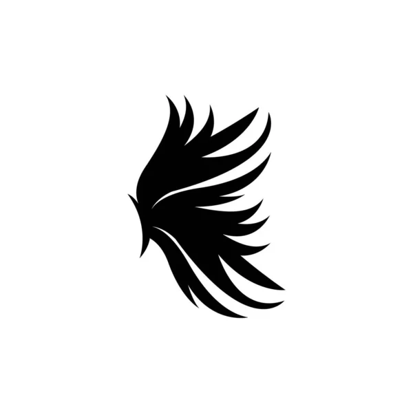 Conception Logo Aile Ailes Faucon Aigle Vecteur Oiseau Volant Beauté — Image vectorielle