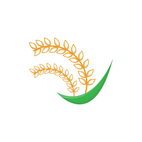 Reis Logo Farm Weizen Logo Design Vektor Weizenreis Icon Template — Stockvektor