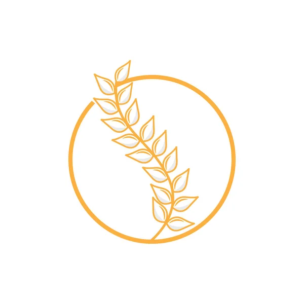 Логотип Рису Дизайн Логотипу Ферми Пшениці Іконка Векторного Рису Пшениці — стоковий вектор
