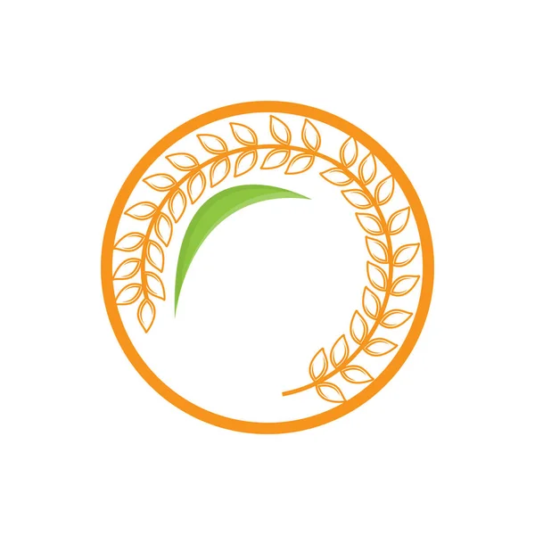 Logo Riz Conception Logo Blé Ferme Modèle Vectoriel Icône Riz — Image vectorielle