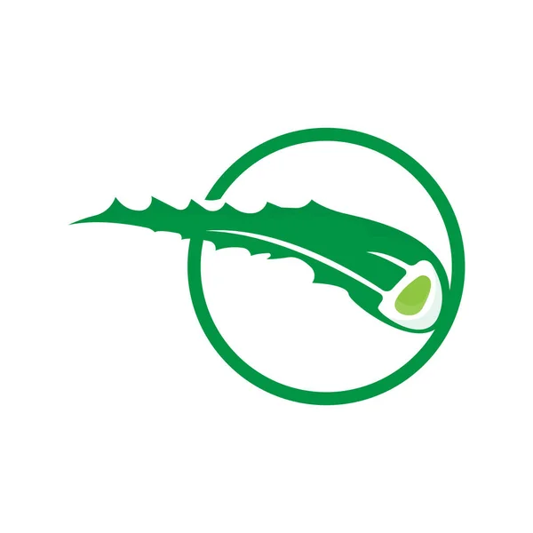 Aloe Vera Logo Desain Kesehatan Tanaman Hijau Simbol Ilustrasi Vektor - Stok Vektor