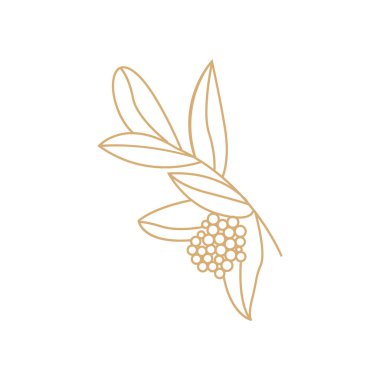 Kahve Logosu, Kahve Ağacı Tasarımı, Kafe İçecek Vektörü, Simge Çizim Sembolü