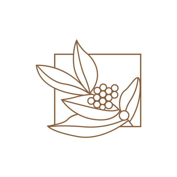 Logotipo Del Café Diseño Del Árbol Del Café Vector Bebida — Archivo Imágenes Vectoriales