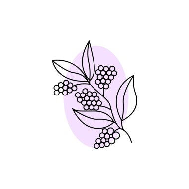 Kahve Logosu Tasarımı, Kahve Ağacı İçecek Vektörü, Şablon Sembol İllüstrasyonu