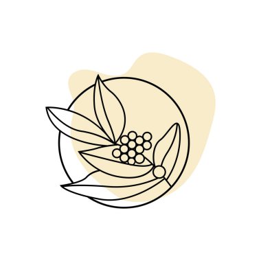 Kahve Logosu Tasarımı, Kahve Ağacı İçecek Vektörü, Şablon Sembol İllüstrasyonu