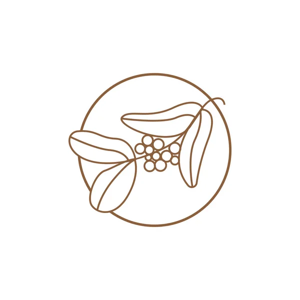 Kaffe Logotyp Design Kaffe Träd Dricka Vektor Mall Symbol Illustration — Stock vektor