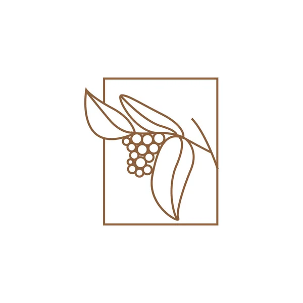 Kaffe Logotyp Design Kaffe Träd Dricka Vektor Mall Symbol Illustration — Stock vektor