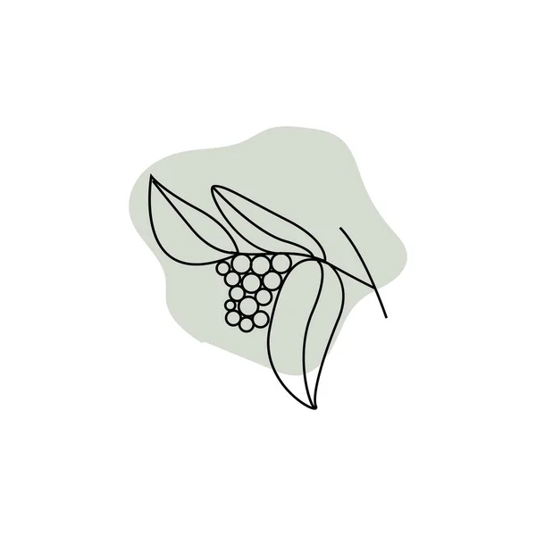 Design Logo Uri Cafea Coffee Tree Drink Vector Simbol Șablon — Vector de stoc