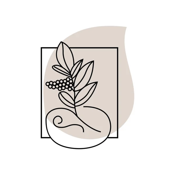 Diseño Del Logotipo Del Café Bebida Del Árbol Del Café — Archivo Imágenes Vectoriales