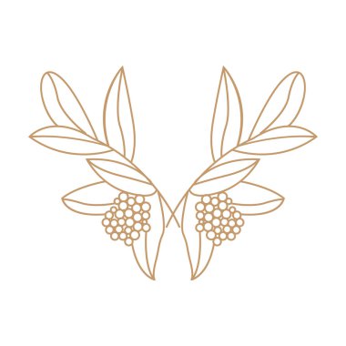 Kahve Logosu Tasarımı, Kahve Ağacı İçecek Vektörü, Şablon Sembol İllüstrasyonu