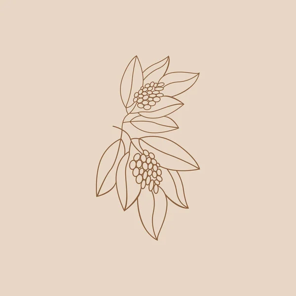 Дизайн Логотипа Кофе Вектор Напитков Кофейного Дерева Иллюстрация Символа Шаблона — стоковый вектор