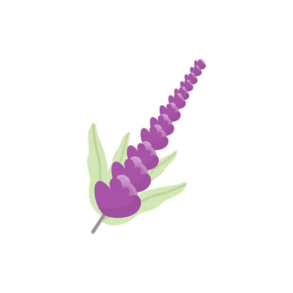 Lavender Logo Purple Plant Vector Garden Design Illustration Symbol Template — Stock Vector