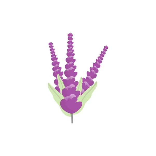 Лавандовый Логотип Фиолетовый Вектор Растений Садовый Дизайн Иллюстрация — стоковый вектор