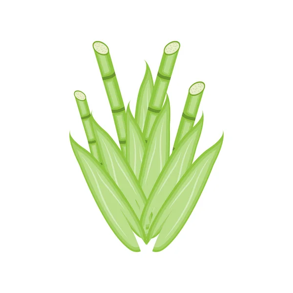 Logo Bambú Panda Food Green Plant Vector Diseño Minimalista Simple — Vector de stock