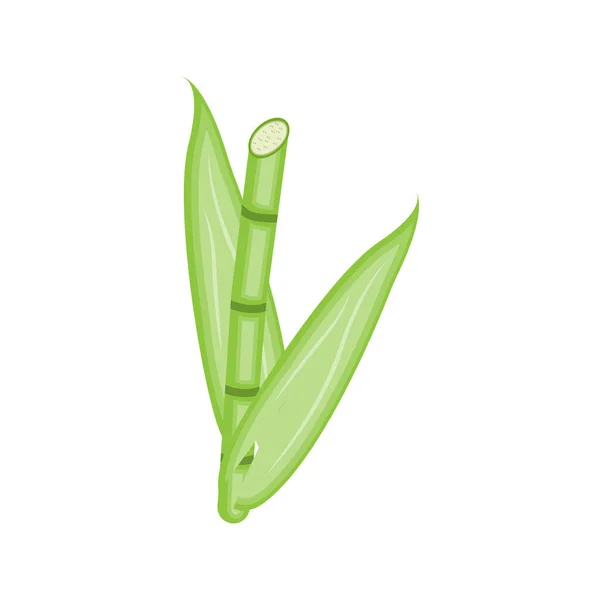 Logo Bambou Vecteur Végétal Vert Panda Food Conception Minimaliste Simple — Image vectorielle
