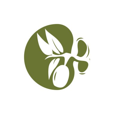 Olive Logo Design, Olive Oil Tree Vector, Simple Illustration Template